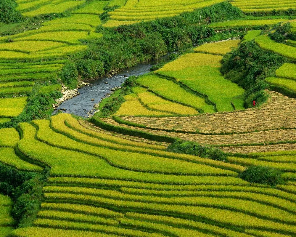 Discover Mu Cang Chai: Vietnam's Hidden Gem