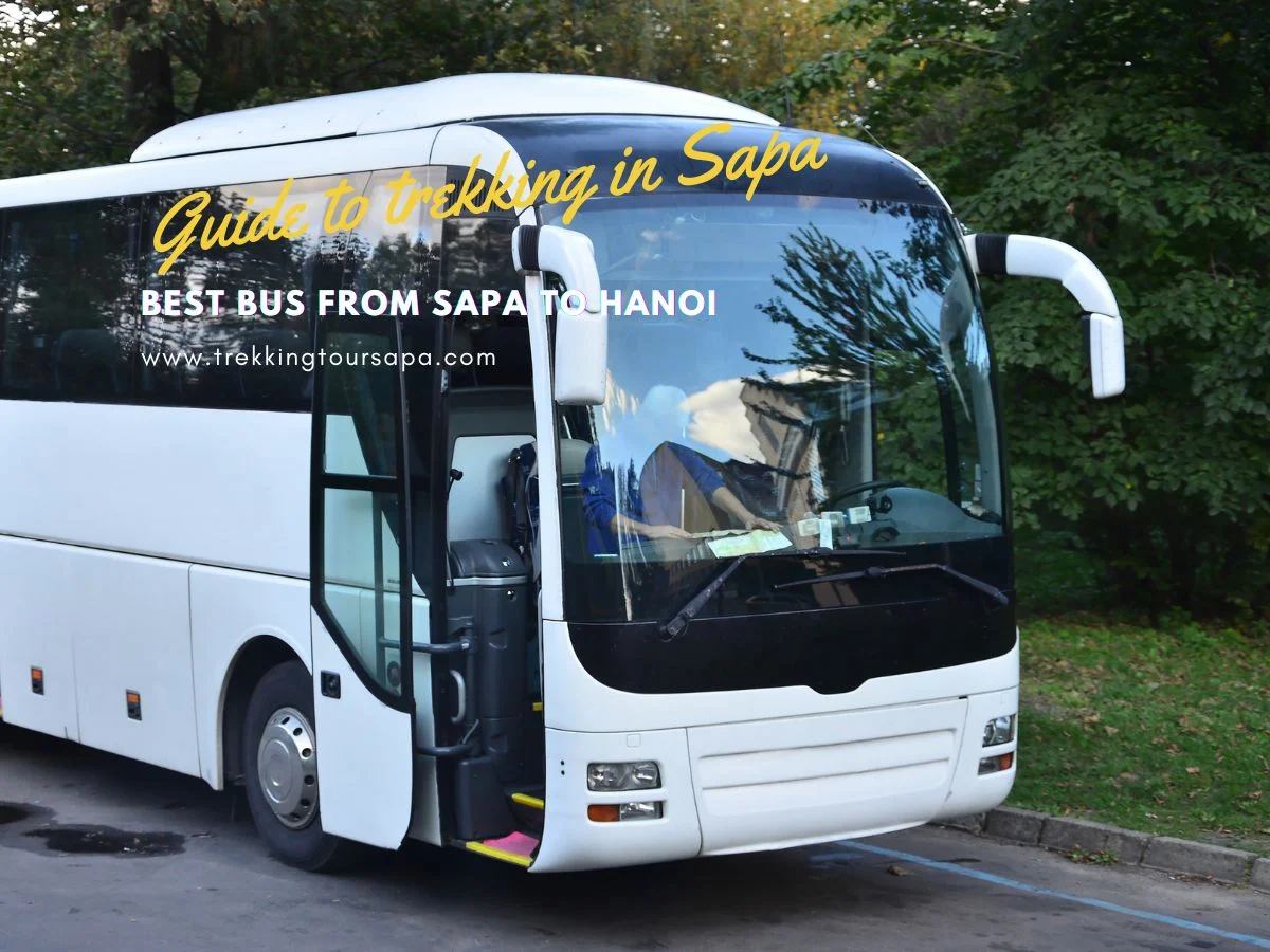 Best Bus From Sapa To Hanoi