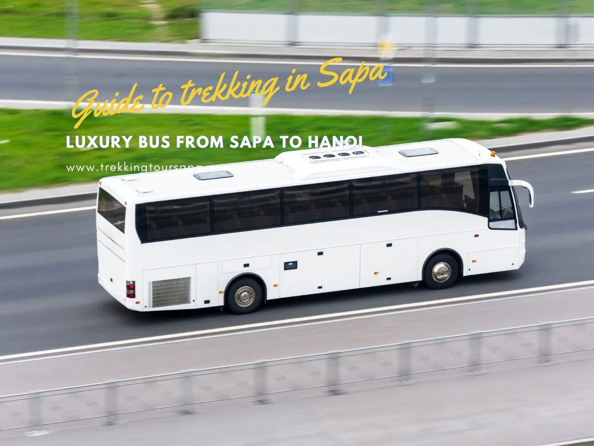 Luxury Bus From Sapa To Hanoi