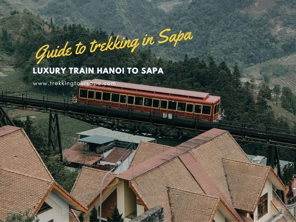 Luxury Train Hanoi To Sapa