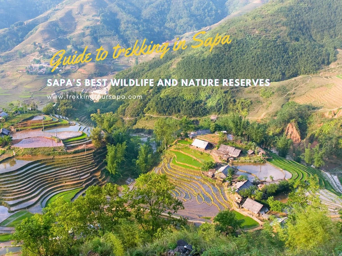 Sapa's Best Wildlife And Nature Reserves