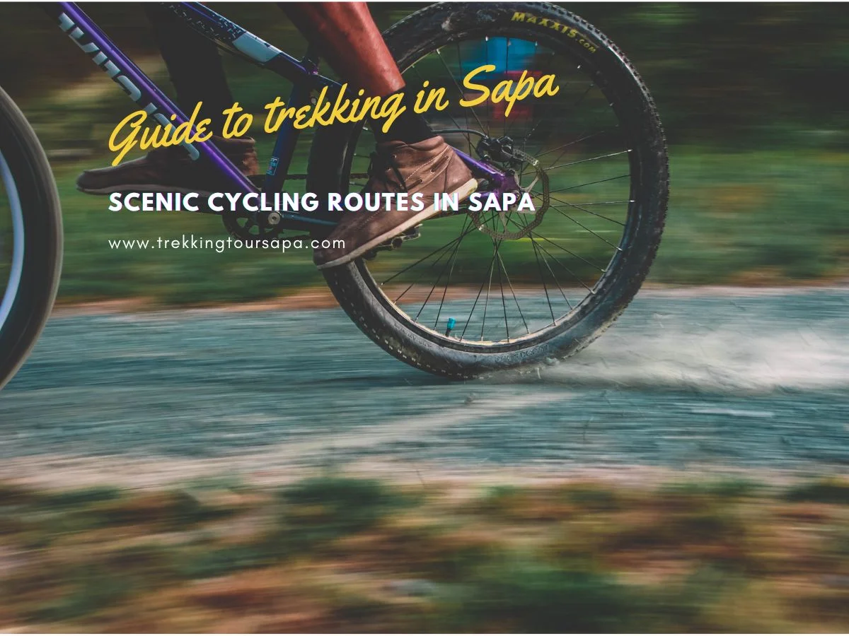 Scenic Cycling Routes In Sapa