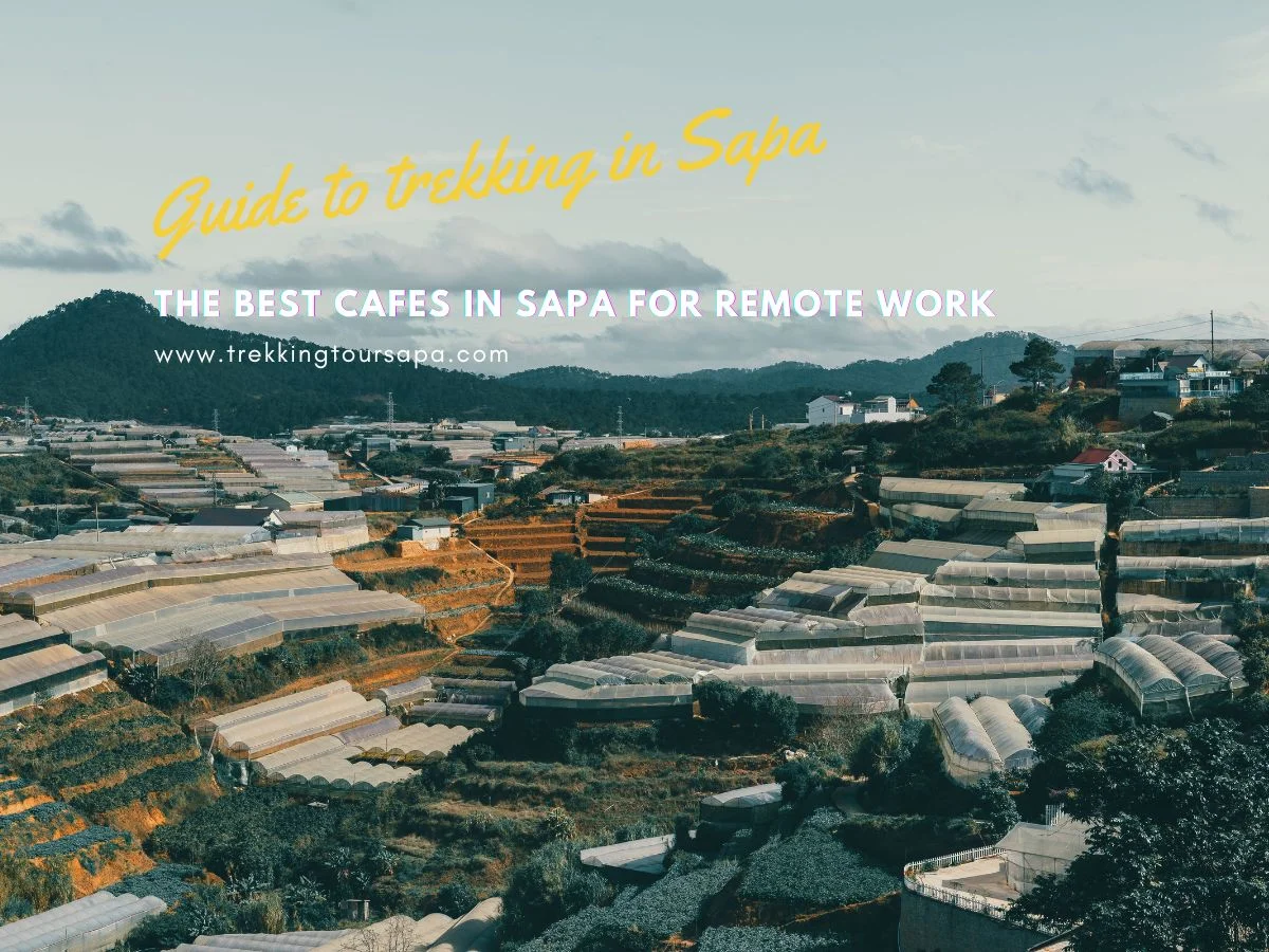 The Best Cafes In Sapa For Remote Work