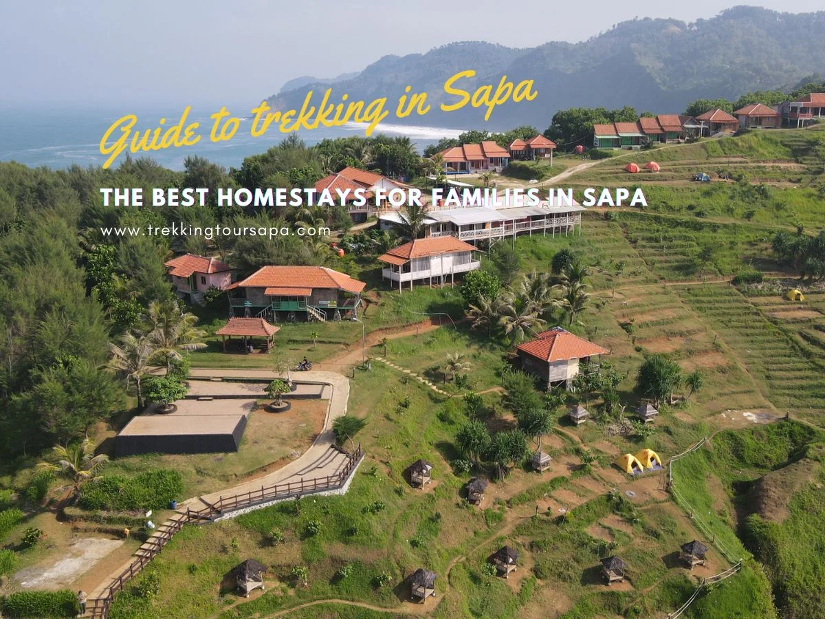The Best Homestays For Families In Sapa
