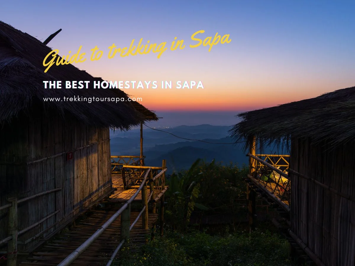The Best Homestays In Sapa