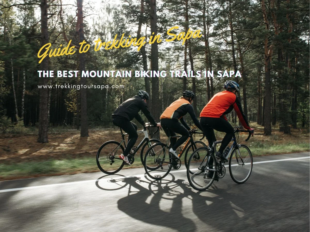 The Best Mountain Biking Trails In Sapa