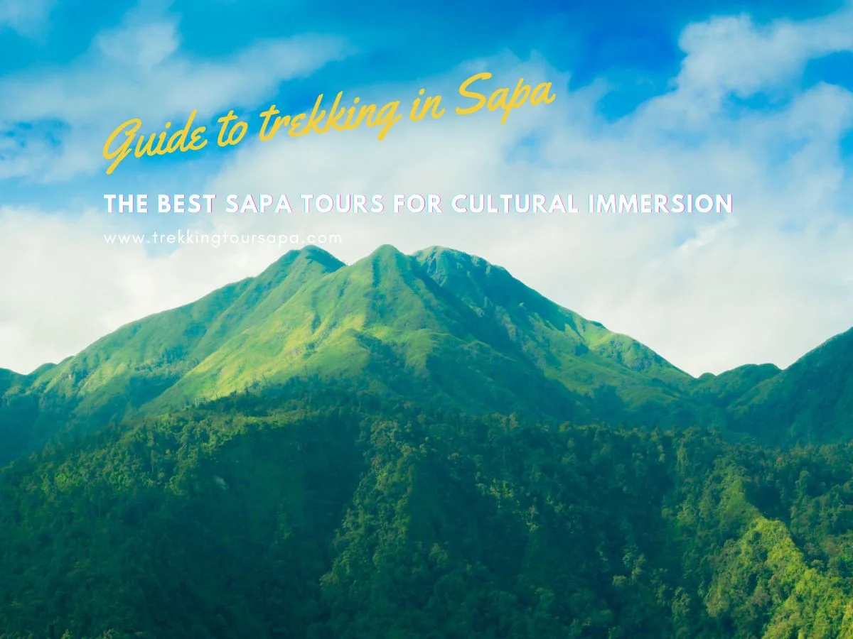 The Best Sapa Tours For Cultural Immersion