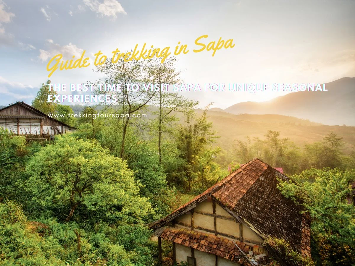The Best Time To Visit Sapa For Unique Seasonal Experiences