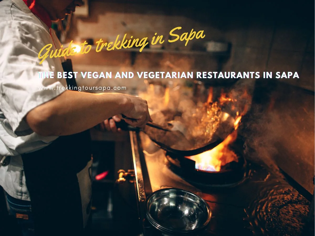 The Best Vegan And Vegetarian Restaurants In Sapa