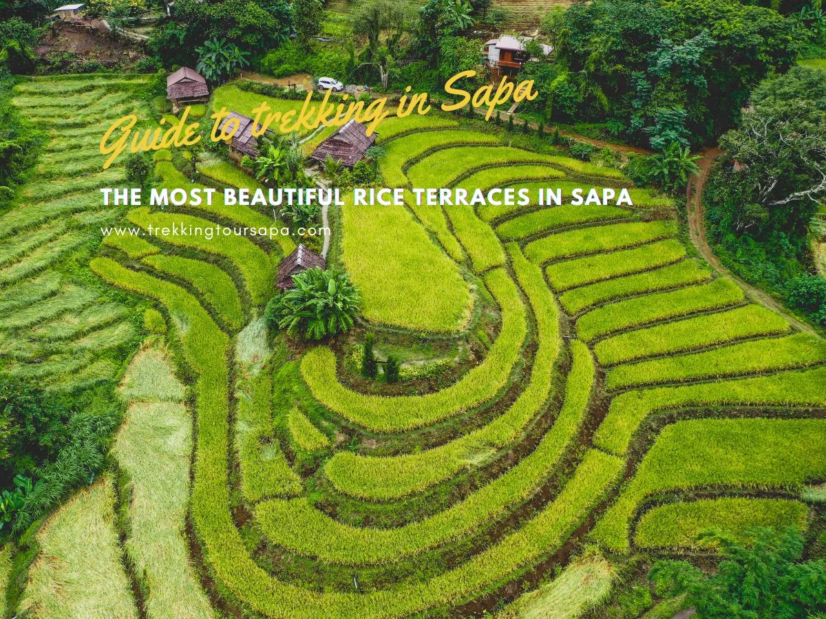 The Most Beautiful Rice Terraces In Sapa