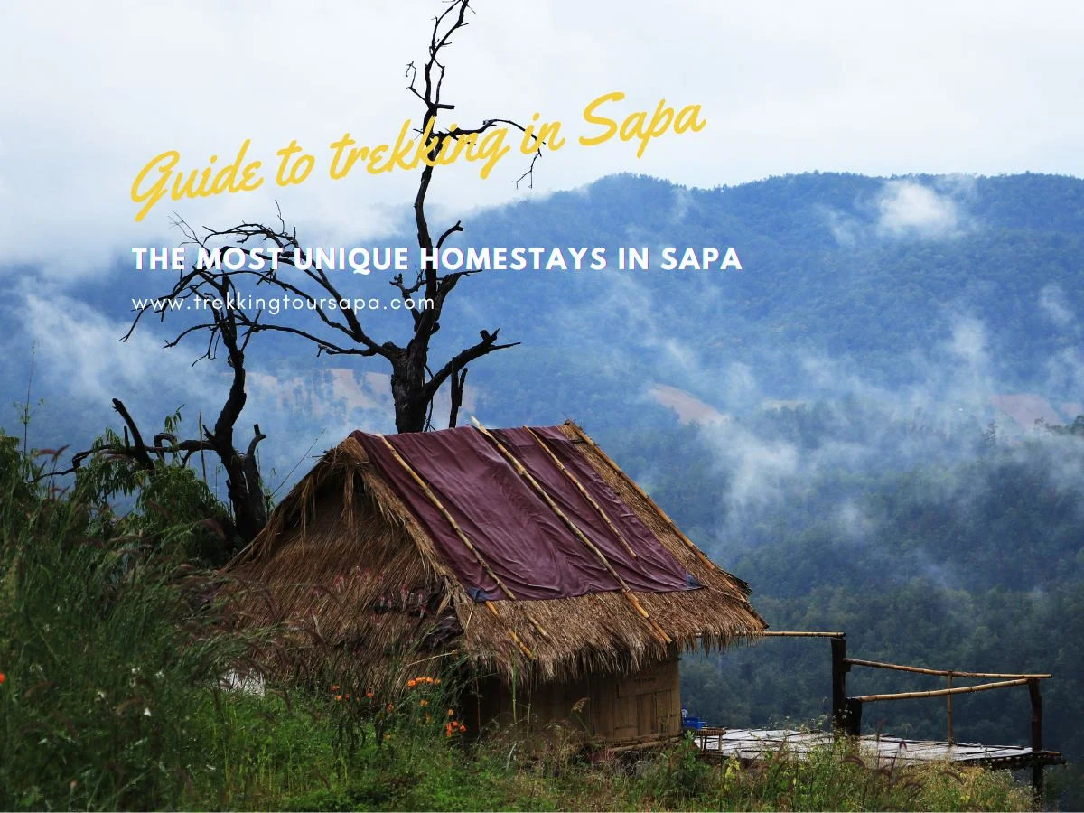 The Most Unique Homestays In Sapa