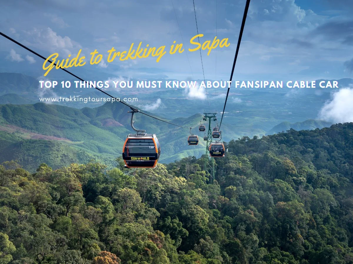 Top 10 Things You Must Know About Fansipan Cable Car