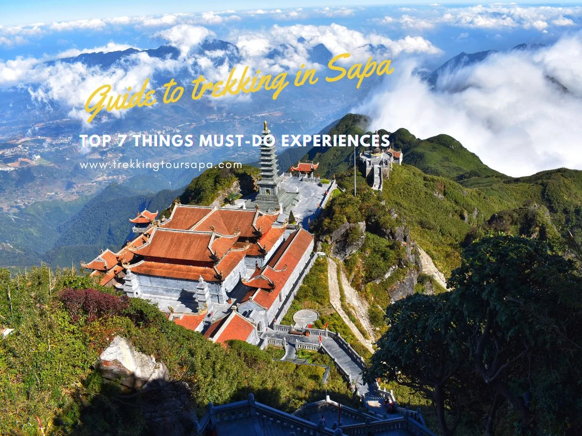 Top 7 Things Must-Do Experiences