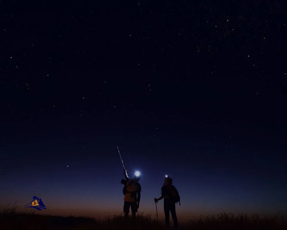 Night Hike