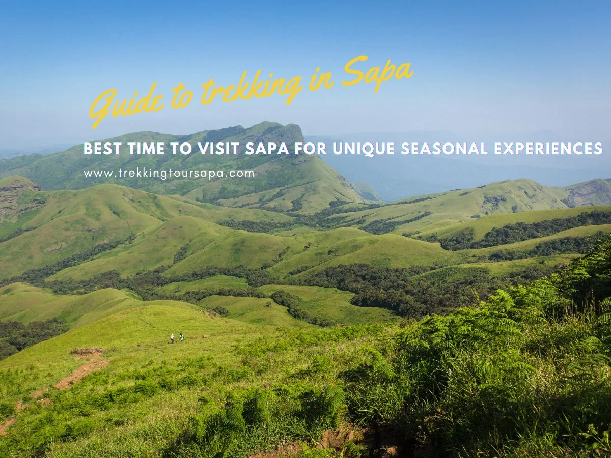 Best Time To Visit Sapa For Unique Seasonal Experiences