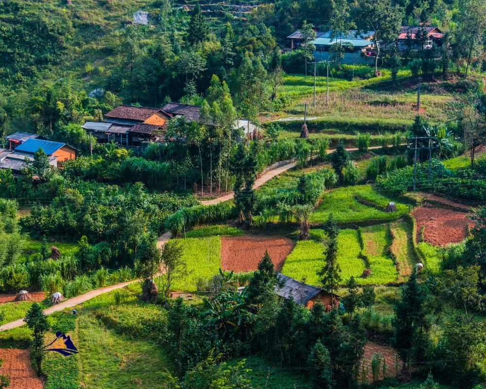 Ha Giang Loop Adventure 1