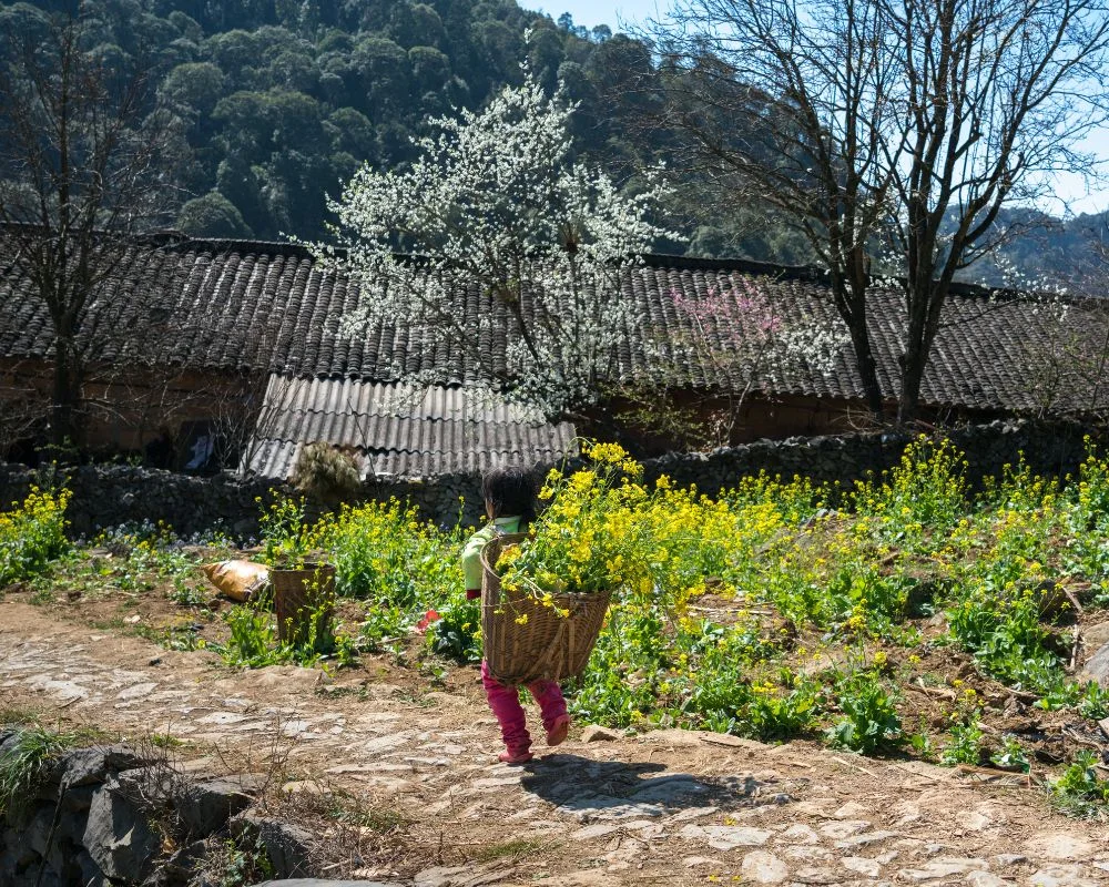 Hidden Gem Of Ha Giang