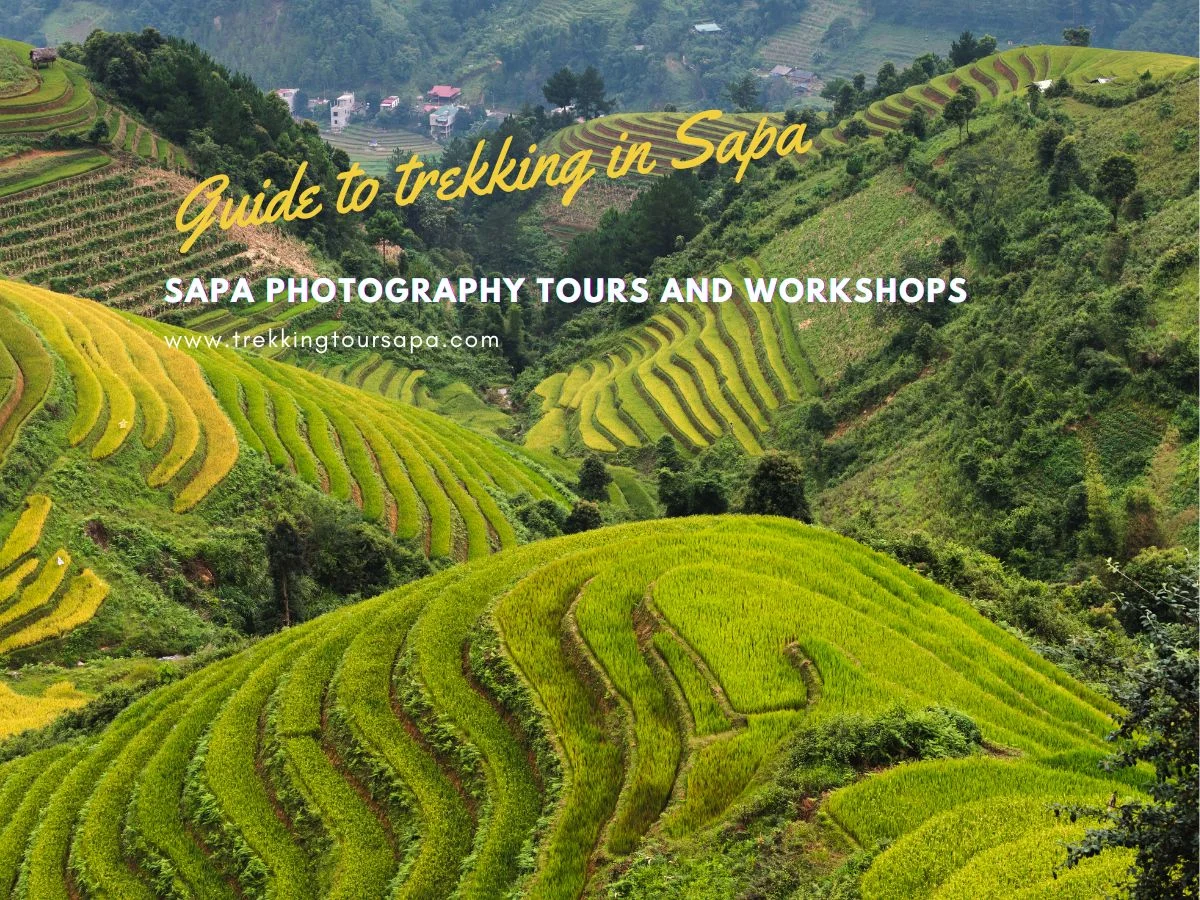 Sapa Photography Tours And Workshops