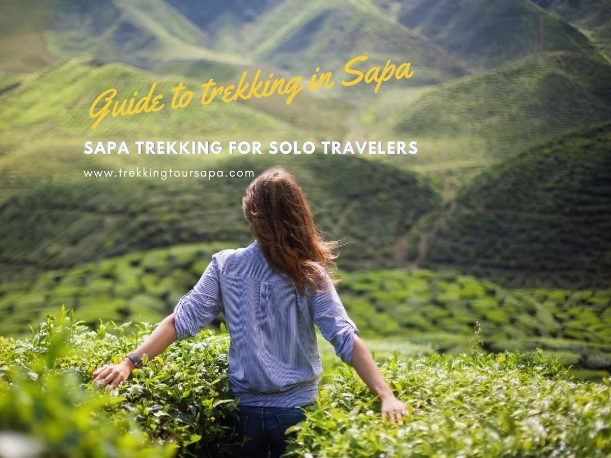 Sapa Trekking For Solo Travelers
