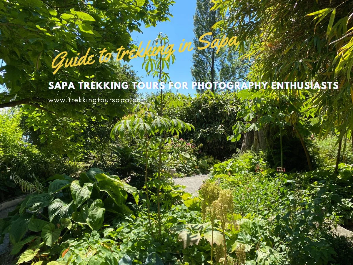Sapa Trekking Tours For Photography Enthusiasts
