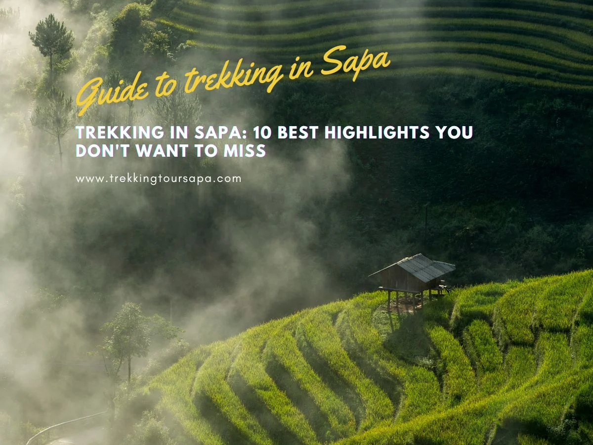 Trekking In Sapa_ 10 Best Highlights You Don't Want To Miss