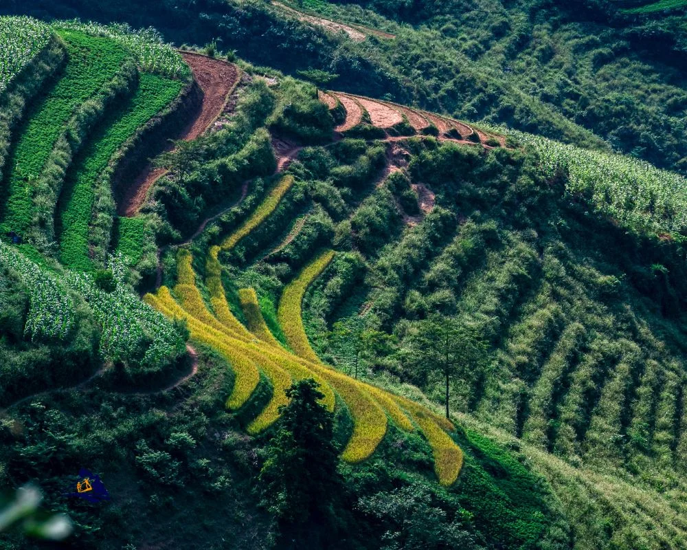 Visit the Ha Giang Loop