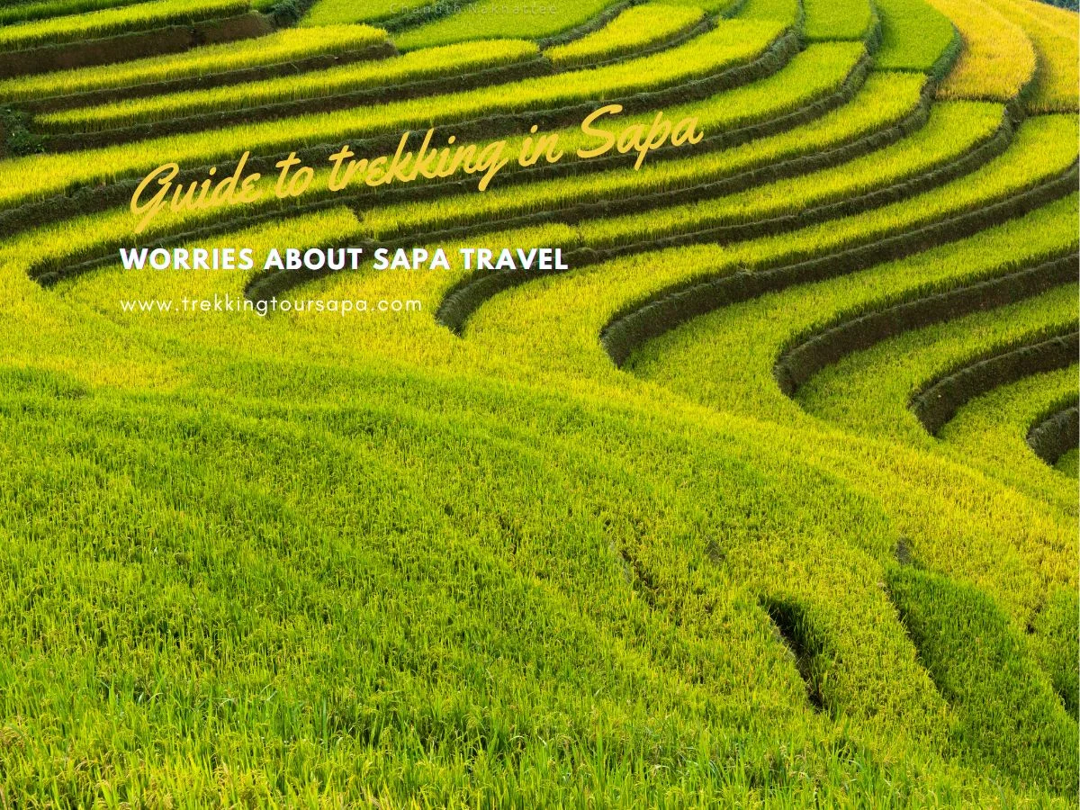 Worries About Sapa Travel