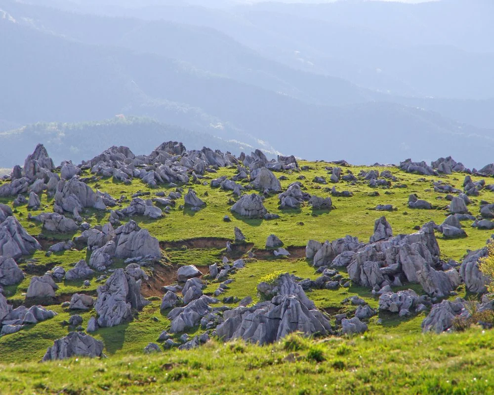 Limestone Karsts In Ha Giang