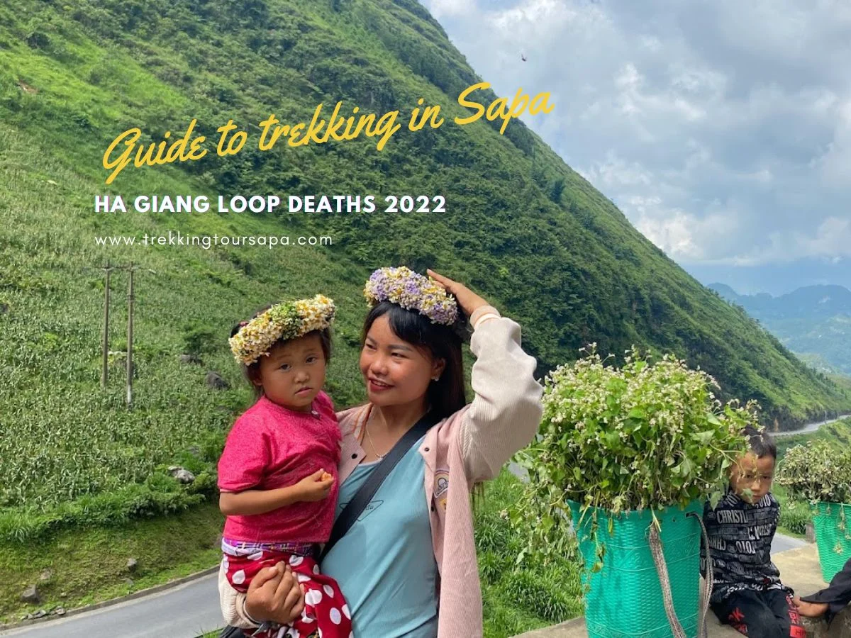 ha giang loop deaths 2022