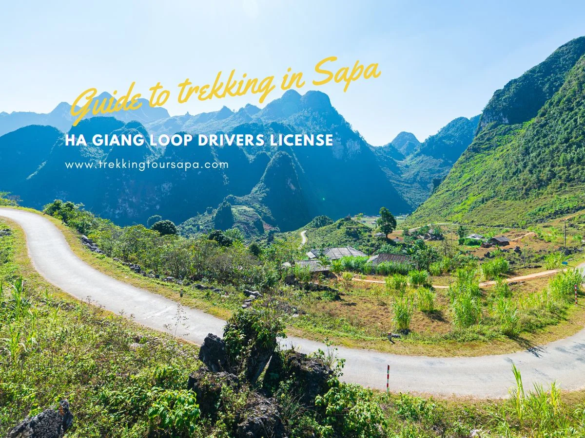 Ha Giang Loop Drivers License