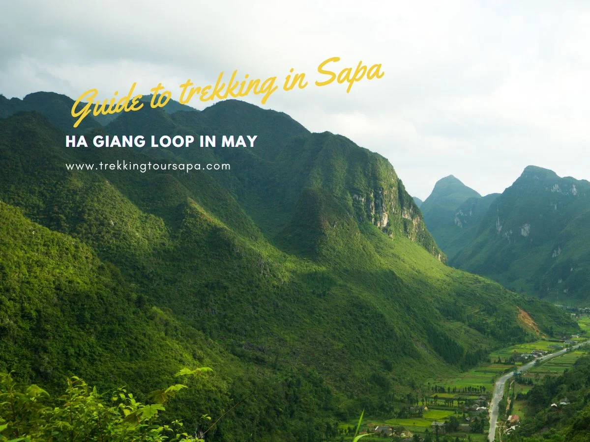 ha giang loop in may