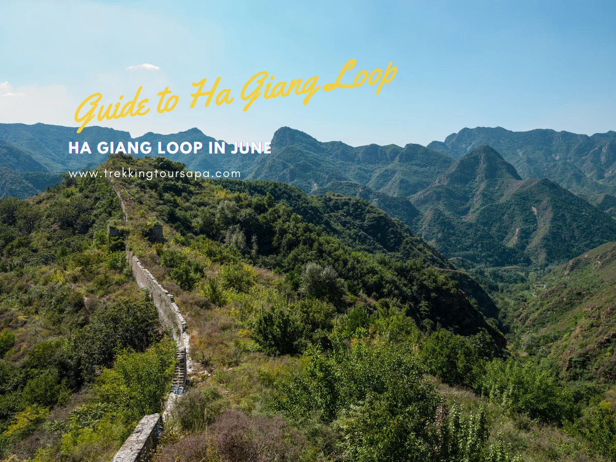 Ha Giang Loop in June