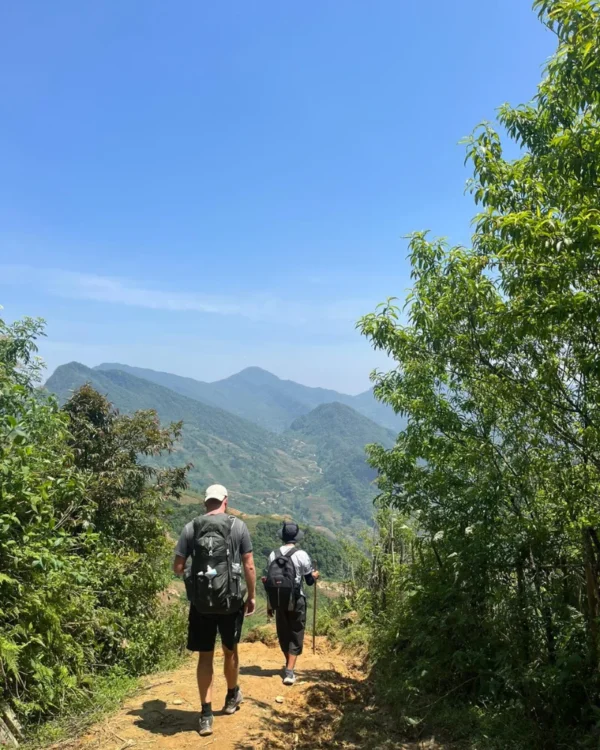 Trekking Amazing Path