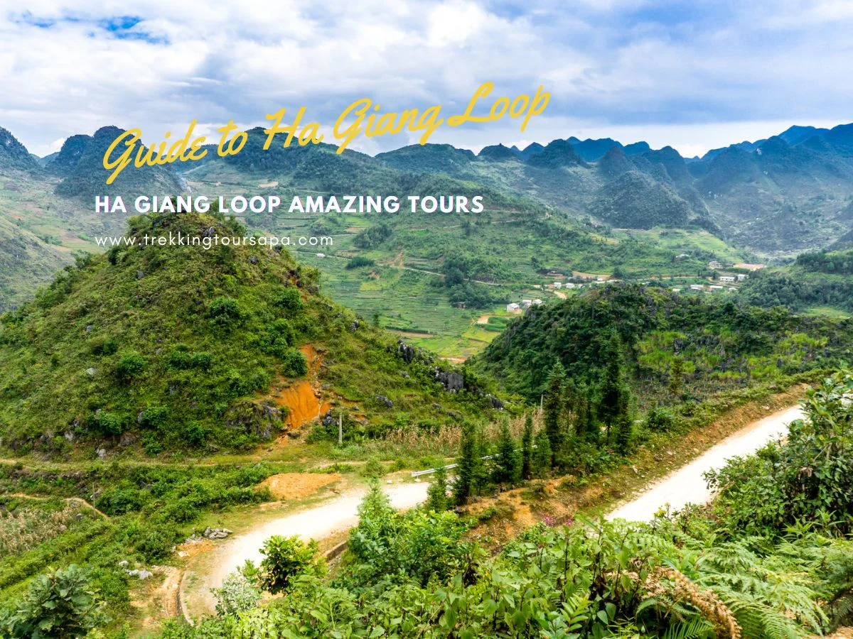 ha giang loop amazing tours