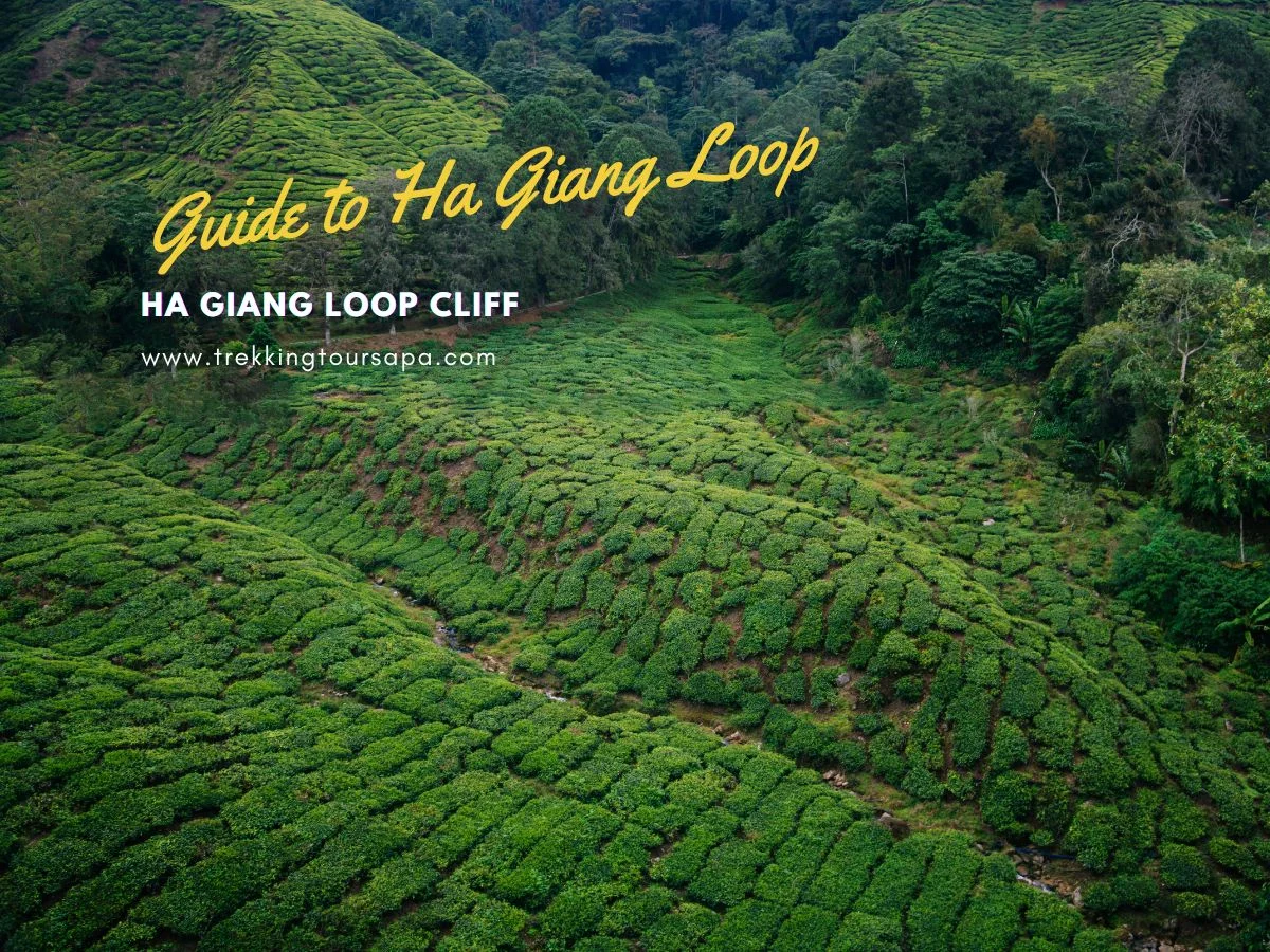 ha giang loop cliff