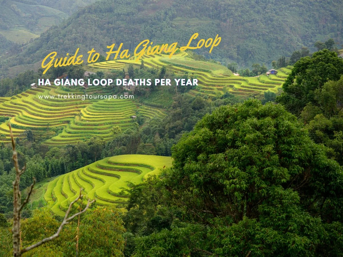 ha giang loop deaths per year