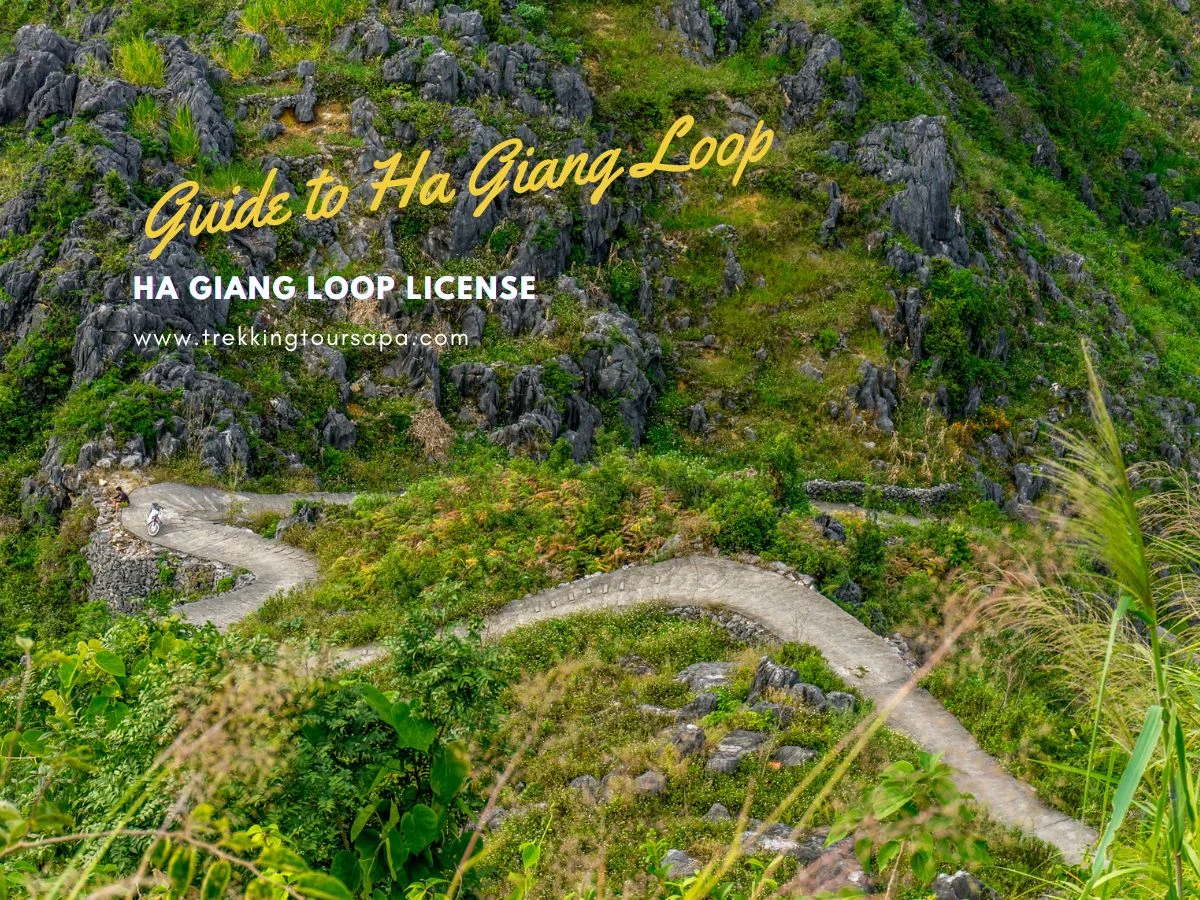 ha giang loop license