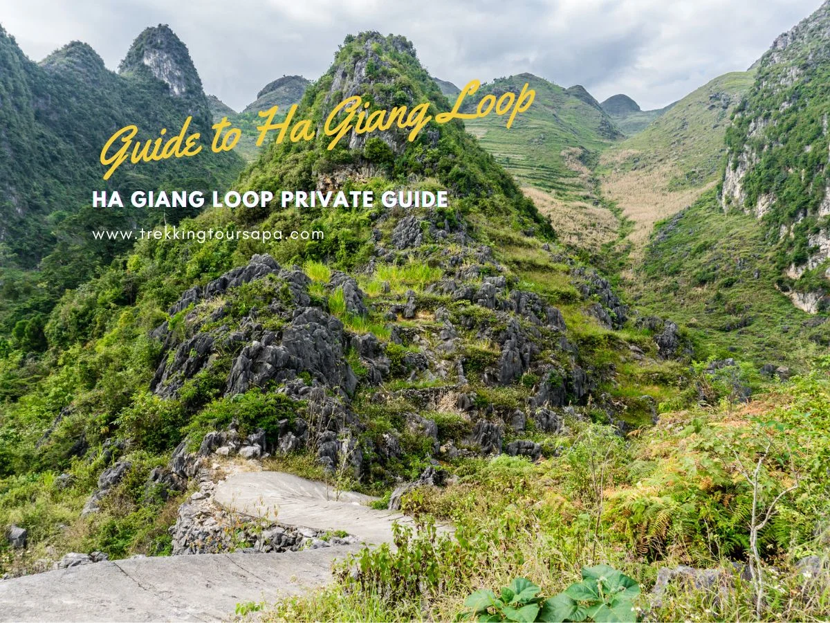 ha giang loop private guide