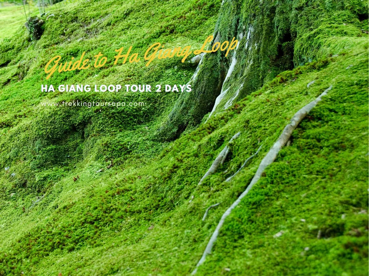 ha giang loop tour 2 days