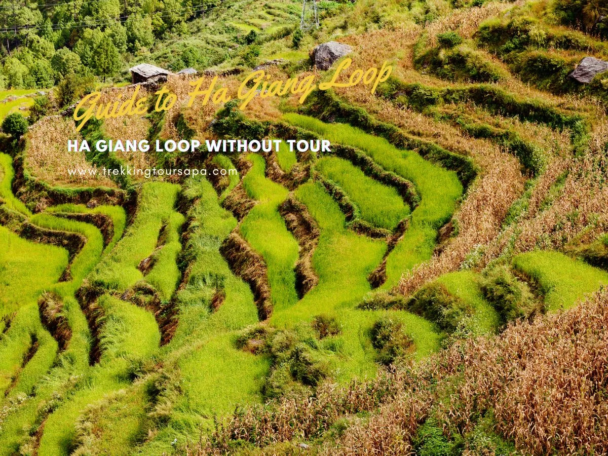 ha giang loop without tour
