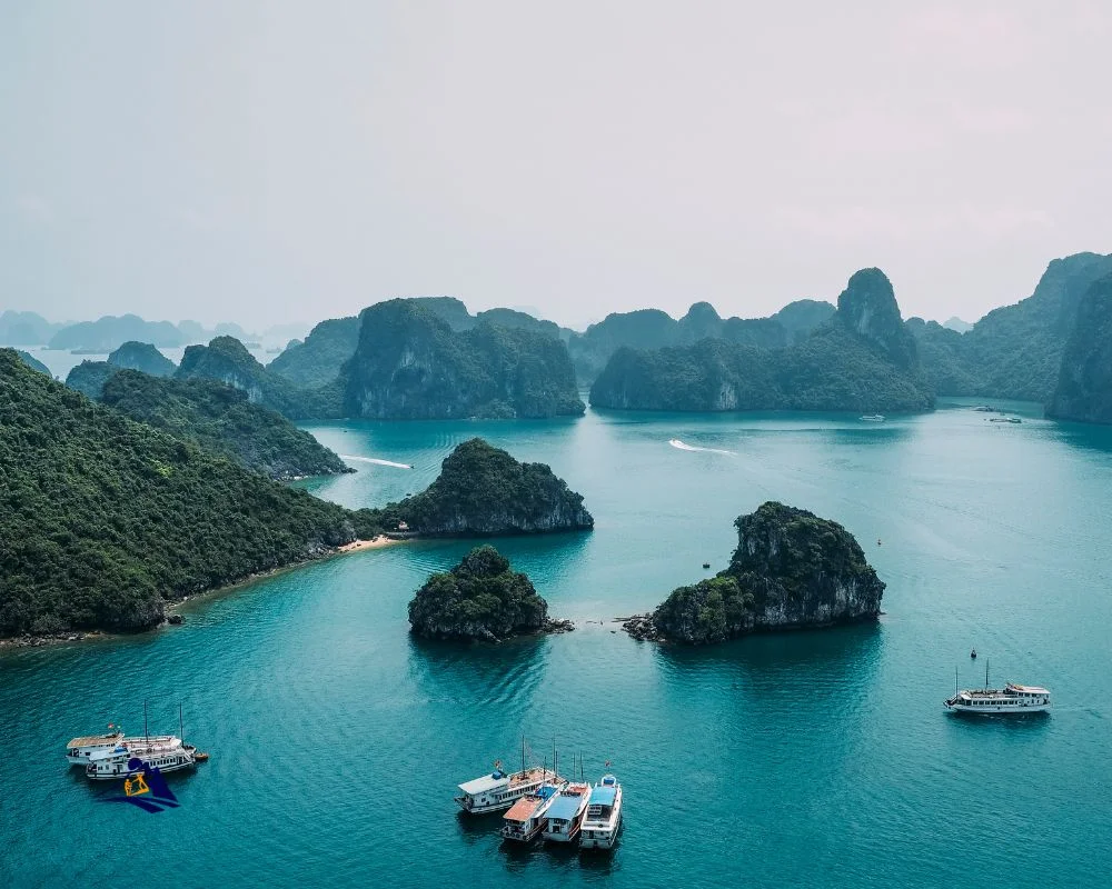 Discover Vibrant Scenes With Our Boat Ha Long Bay Tours