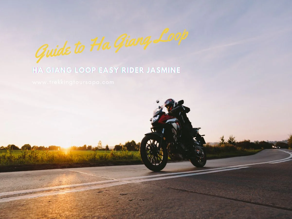 ha giang loop easy rider jasmine