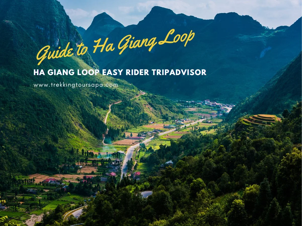 ha giang loop easy rider tripadvisor