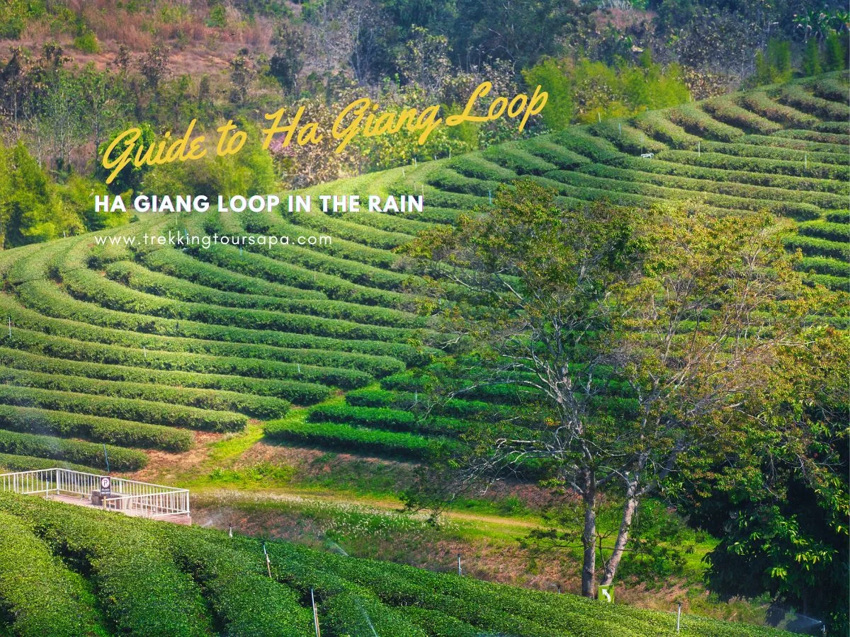 ha giang loop in the rain