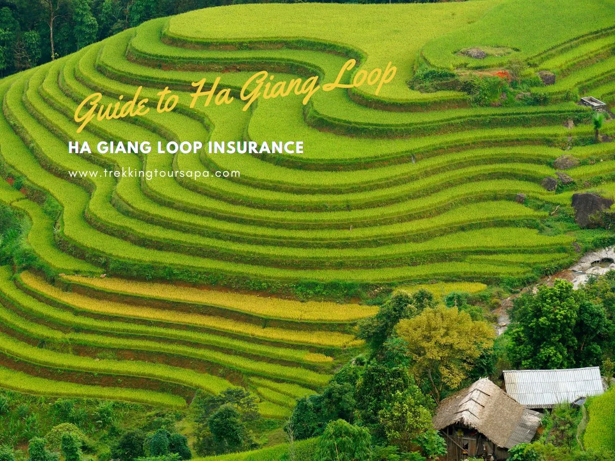 ha giang loop insurance