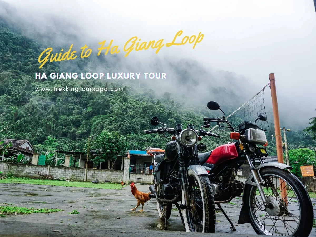 ha giang loop luxury tour