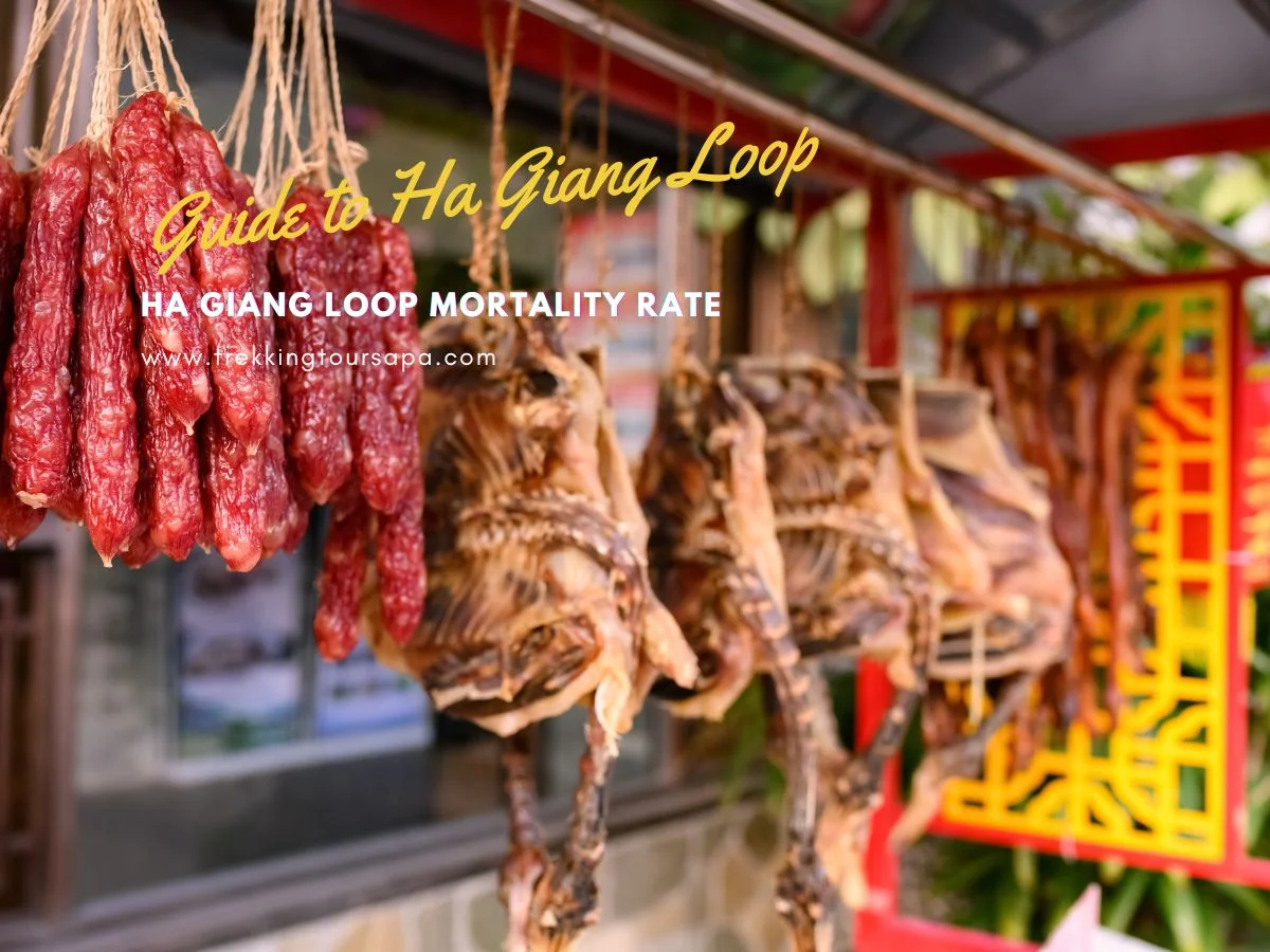 ha giang loop mortality rate