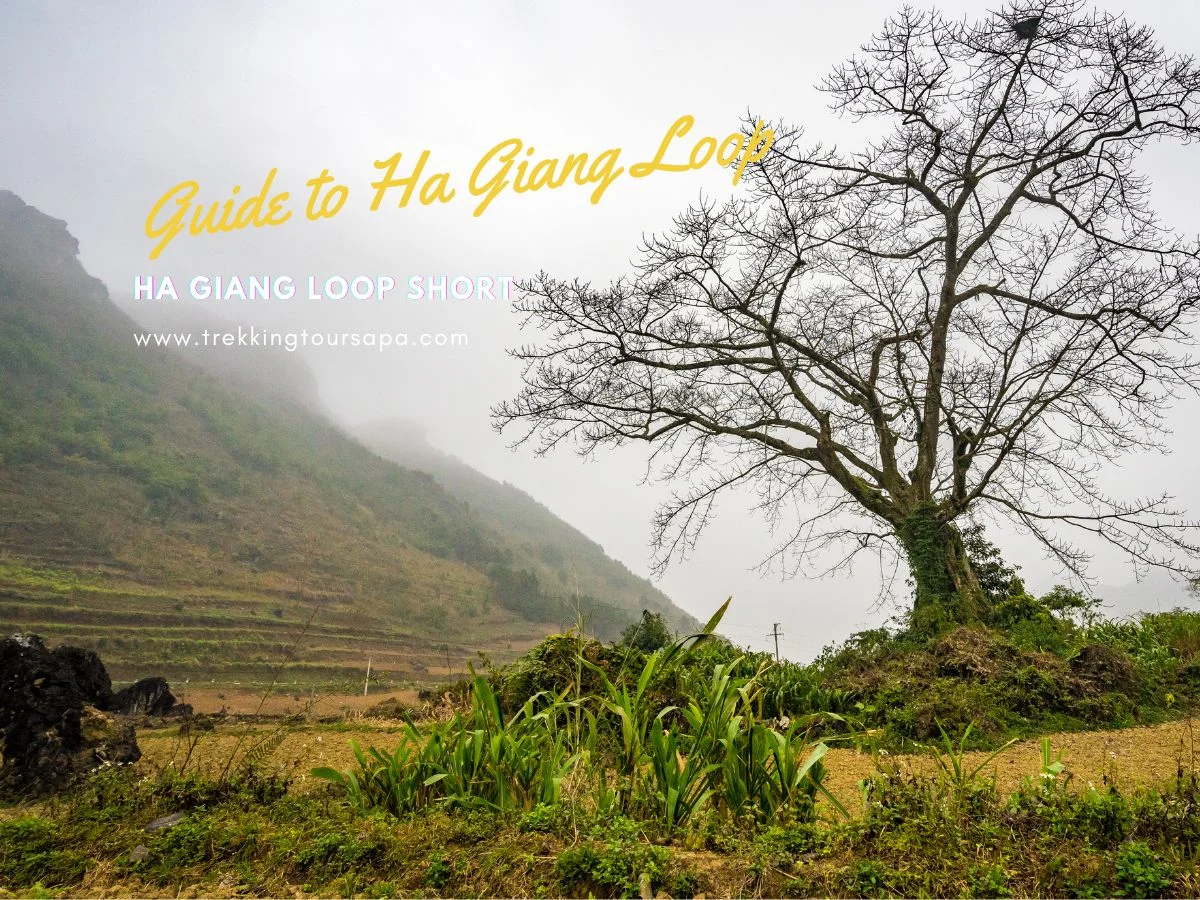 ha giang loop short