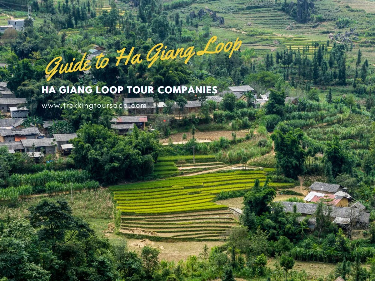 ha giang loop tour companies