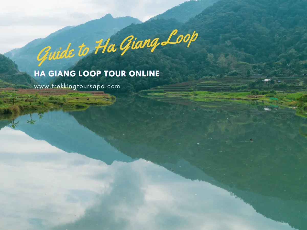 ha giang loop tour online